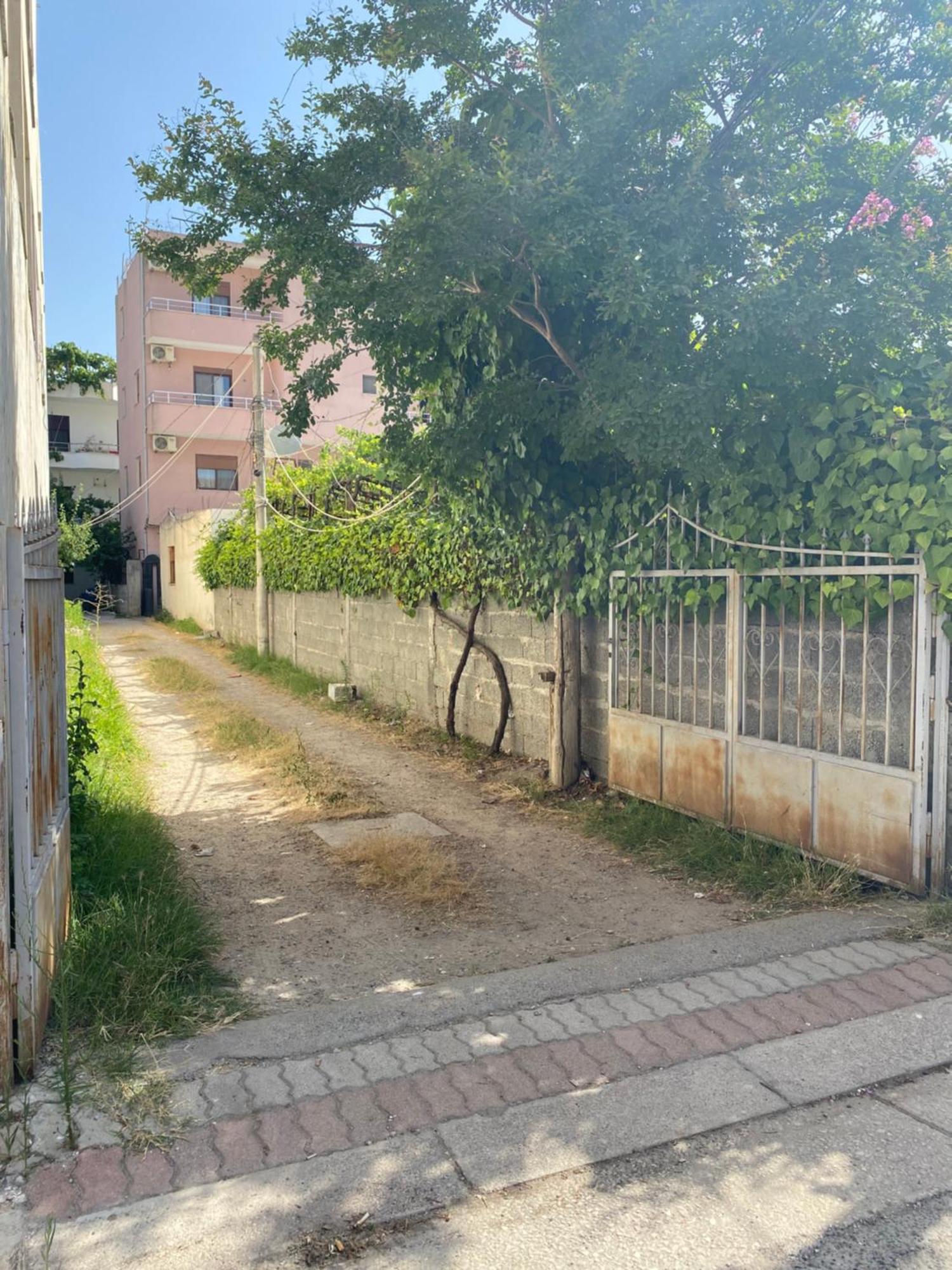 Violca * Durrës
